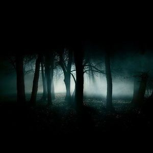 Meet your Posher, Rubi